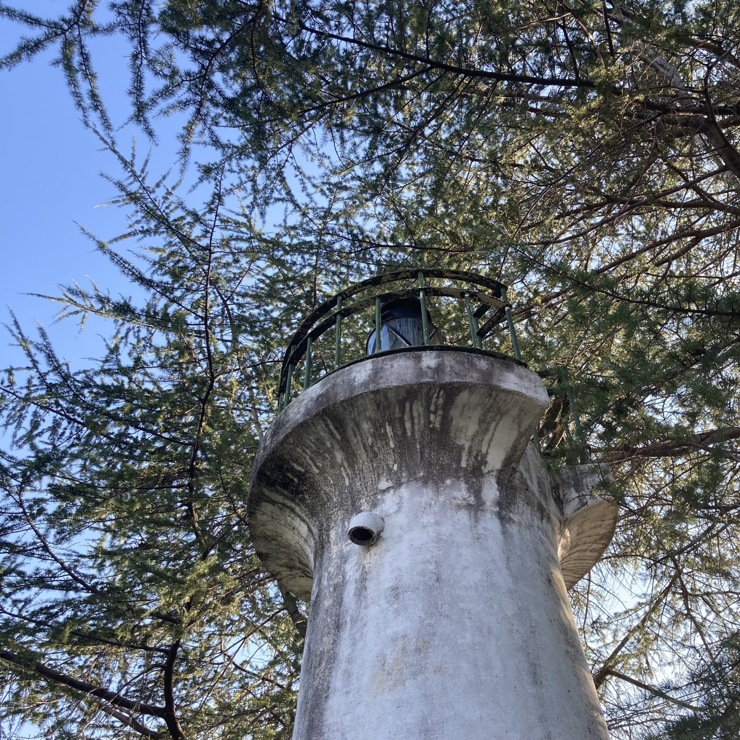 【ジンとりっぷ】草津のいま・むかし　～港町の名残を求めてのんびり歩く、街の歴史と人々の暮らし～
